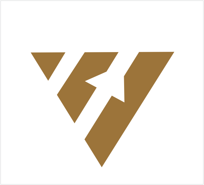 VCT Logo Logo